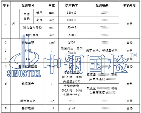 雜散電流檢測項目結果